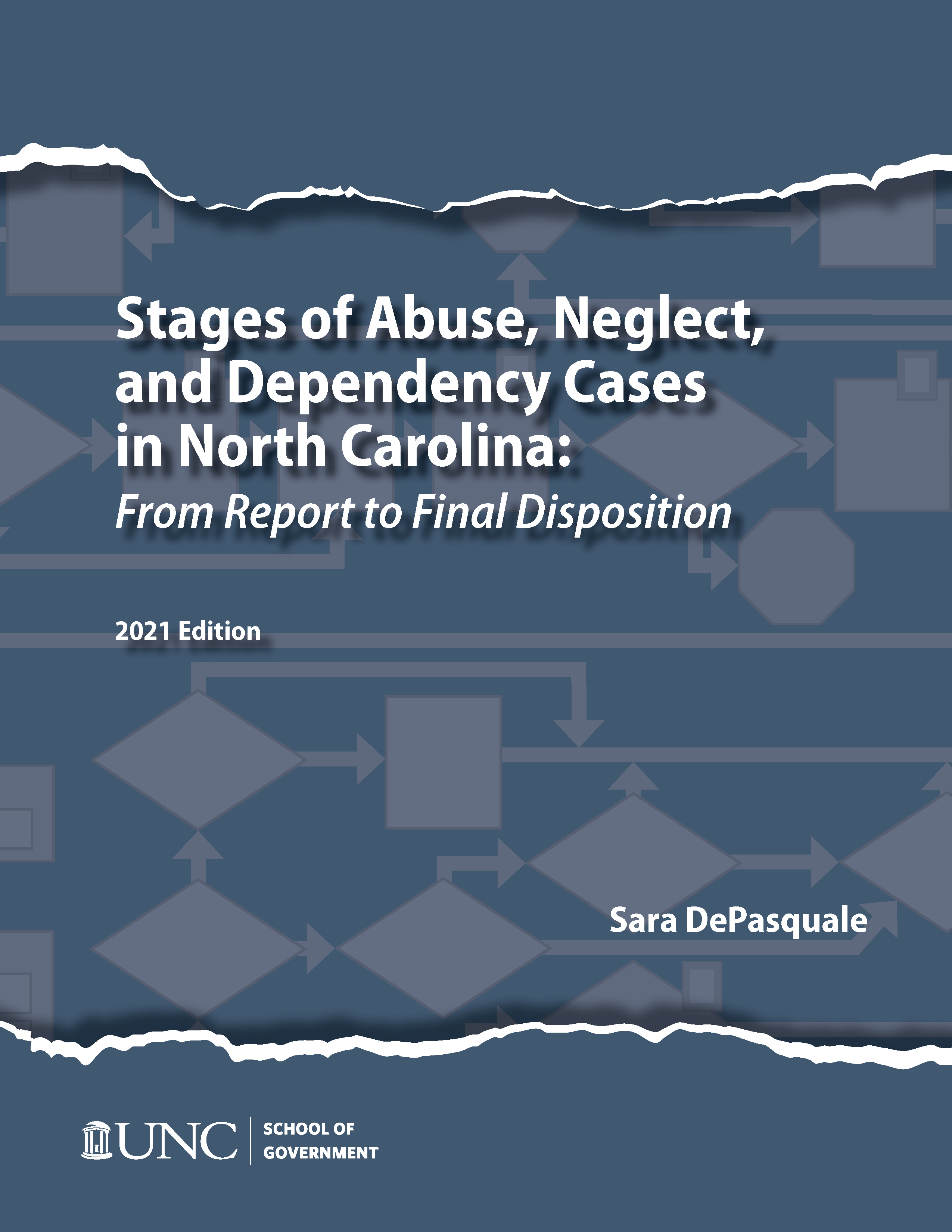 Cover image for Stages of Abuse, Neglect, and Dependency Cases: From Report to Final Disposition, 2021 Edition