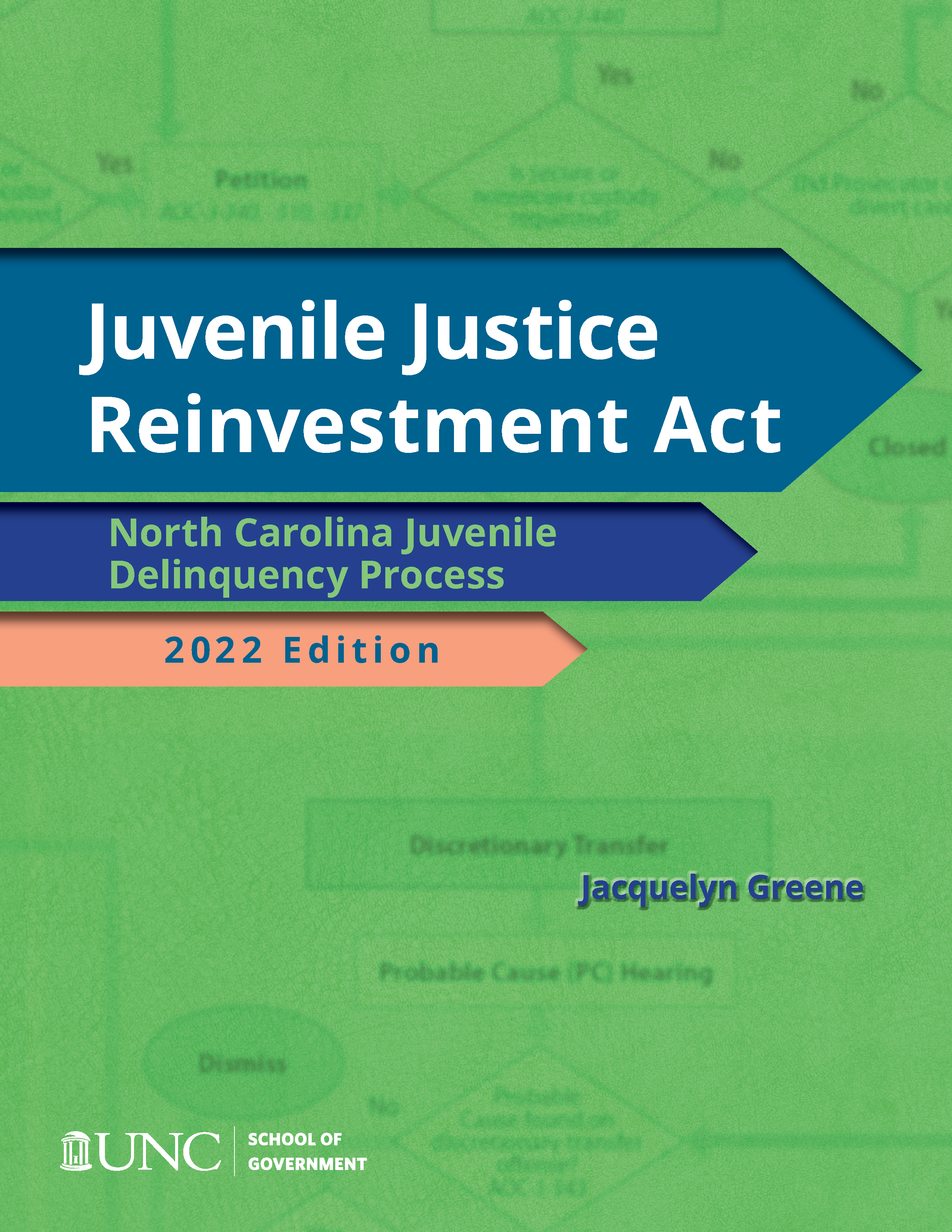 Cover image for Juvenile Justice Reinvestment Act: Juvenile Delinquency Process, 2022 Edition