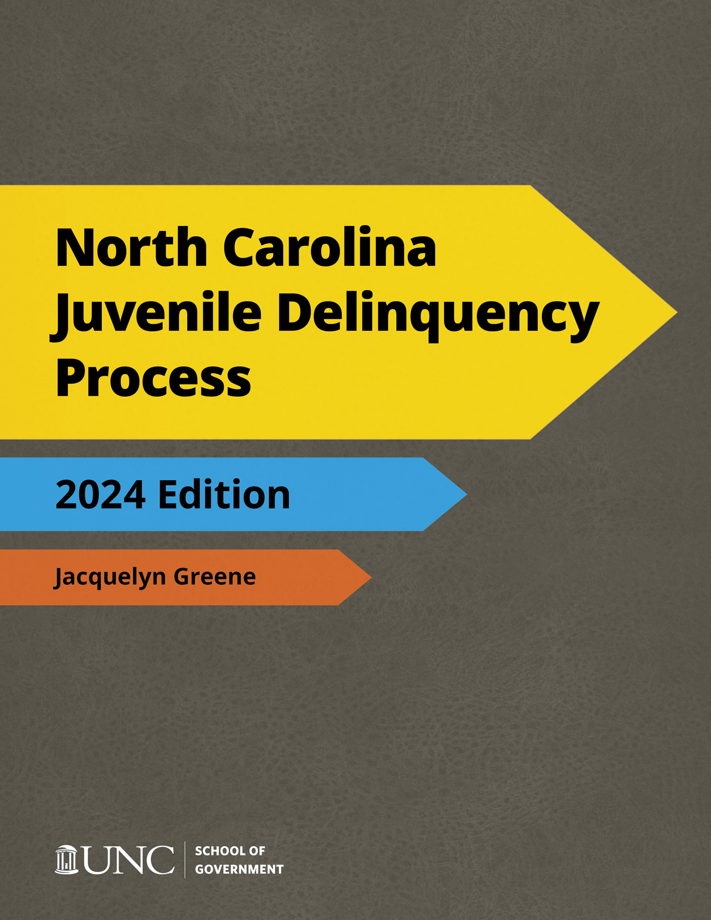Cover image for North Carolina Juvenile Delinquency Process, 2024 Edition