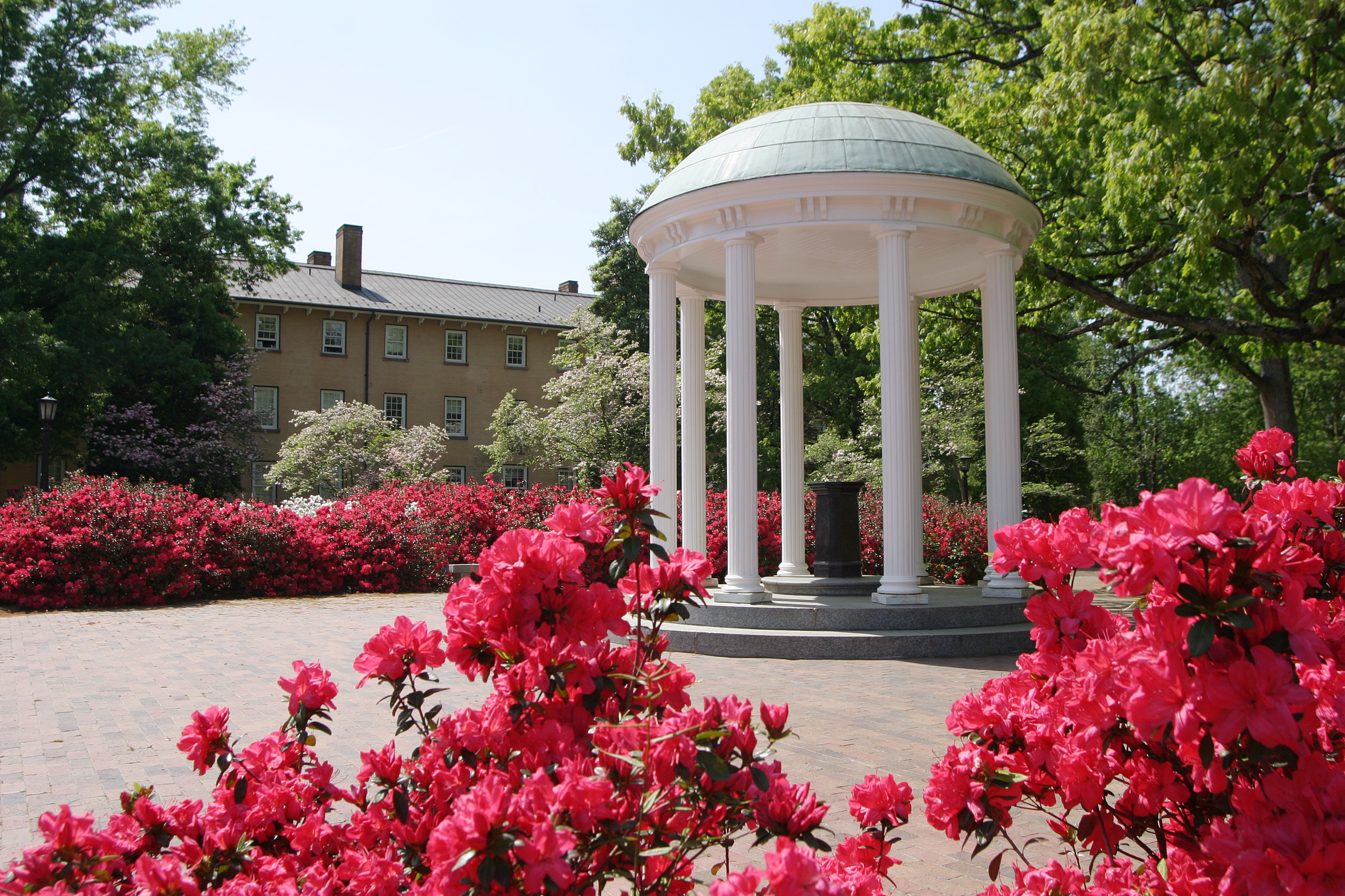 unc undergraduate scholarship offered to local government families